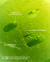 Yepoda.com