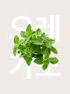 Yepoda.com
