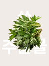 Yepoda.com