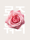 Yepoda.com